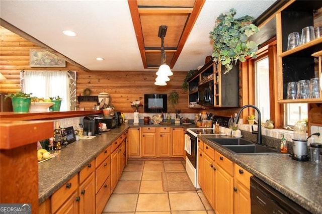 20 Mahan Ln NE, Rydal, GA 30171 - kitchen with dark countertops, open shelves, a sink, rustic walls, and black appliances