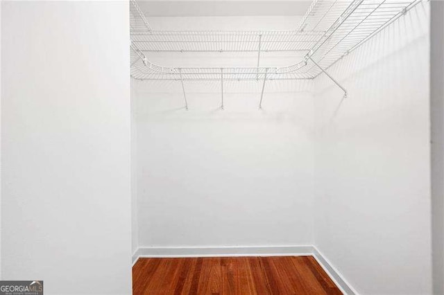 spacious closet featuring wood finished floors