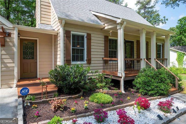 doorway to property with a porch and roof with shingles