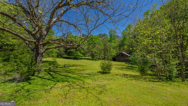 view of yard with an outbuilding