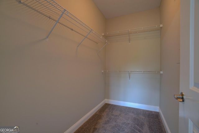 3204 Village Blvd SE, Rome, GA 30161 - walk in closet featuring carpet