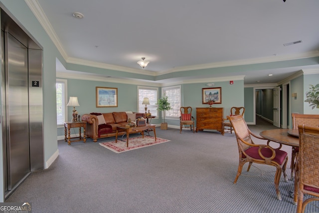 3204 Village Blvd SE, Rome, GA 30161 - living area with crown molding, carpet flooring, healthy amount of natural light, and a raised ceiling