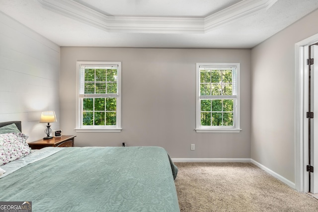 588 Peachtree Dr SE, White, GA 30184 - bedroom with crown molding, multiple windows, a raised ceiling, and carpet