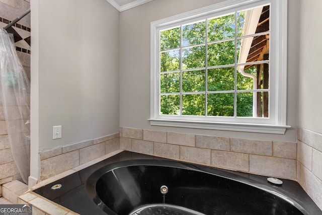 588 Peachtree Dr SE, White, GA 30184 - bathroom featuring a jetted tub and ornamental molding