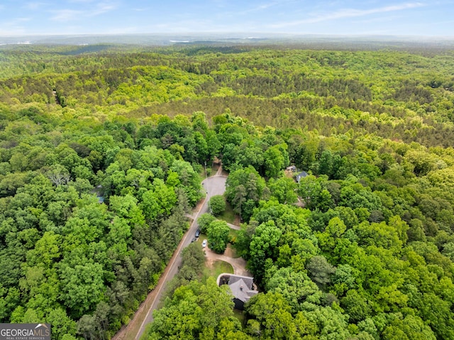 588 Peachtree Dr SE, White, GA 30184 - bird's eye view of a forest