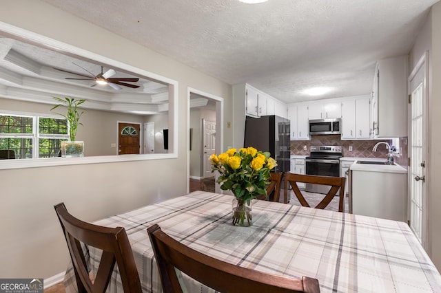 588 Peachtree Dr SE, White, GA 30184 - dining area featuring a ceiling fan, a textured ceiling, and a tray ceiling