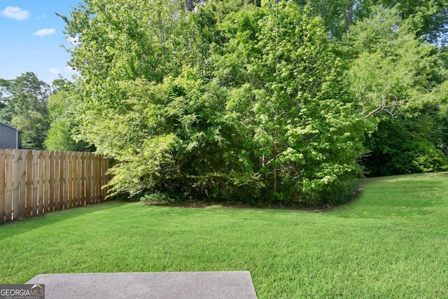 5244 Carrington Park Dr, Powder Springs, GA 30127 - view of yard with fence