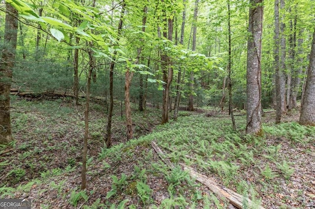 LOT17 Lower Gap Rd Unit 17, Sautee Nacoochee, GA 30571
