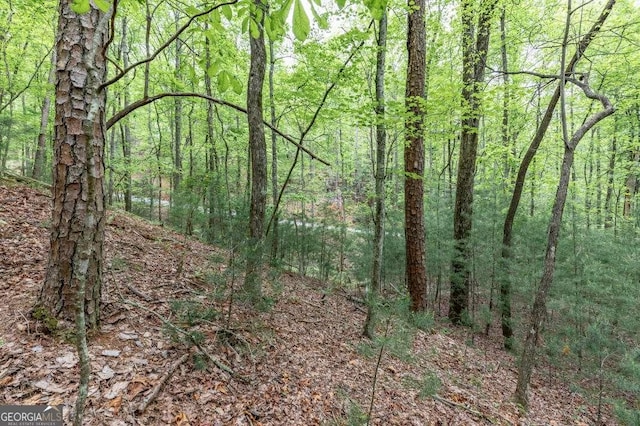 LOT17 Lower Gap Rd Unit 17, Sautee Nacoochee, GA 30571
