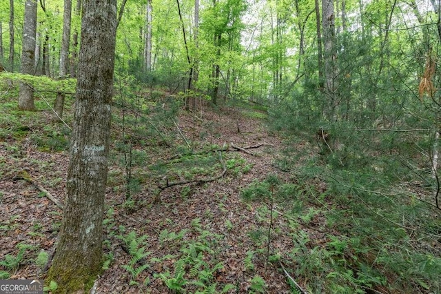 LOT17 Lower Gap Rd Unit 17, Sautee Nacoochee, GA 30571
