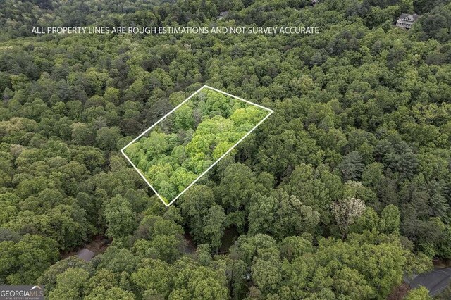 LOT17 Lower Gap Rd Unit 17, Sautee Nacoochee, GA 30571