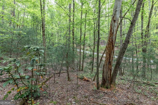 LOT17 Lower Gap Rd Unit 17, Sautee Nacoochee, GA 30571