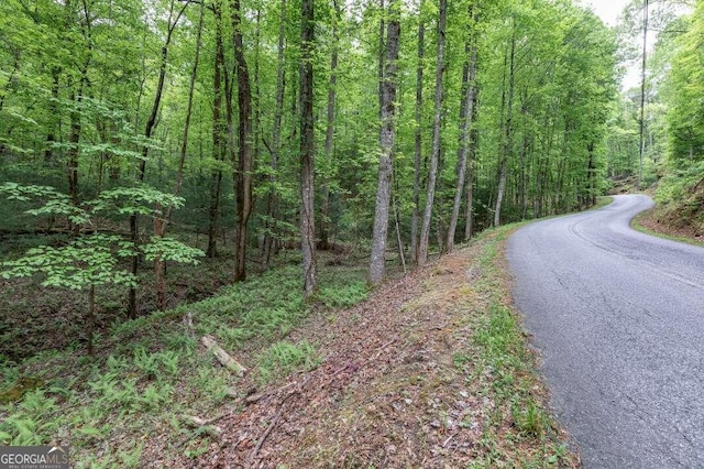 LOT17 Lower Gap Rd Unit 17, Sautee Nacoochee, GA 30571