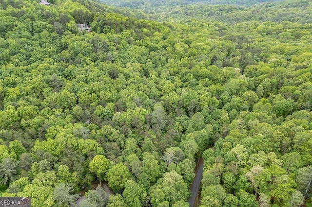 LOT17 Lower Gap Rd Unit 17, Sautee Nacoochee, GA 30571