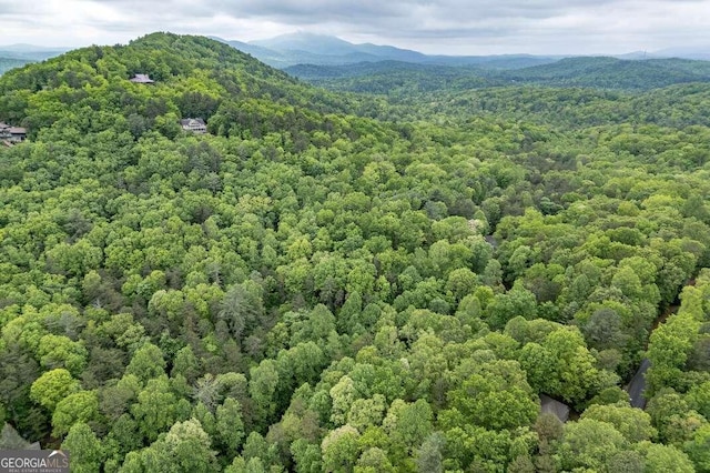LOT17 Lower Gap Rd Unit 17, Sautee Nacoochee, GA 30571
