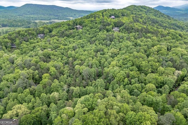 LOT17 Lower Gap Rd Unit 17, Sautee Nacoochee, GA 30571