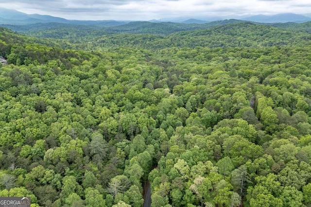 LOT17 Lower Gap Rd Unit 17, Sautee Nacoochee, GA 30571
