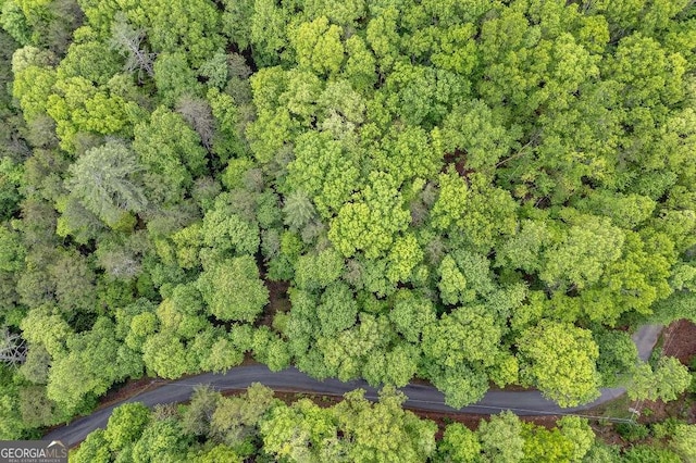 LOT17 Lower Gap Rd Unit 17, Sautee Nacoochee, GA 30571