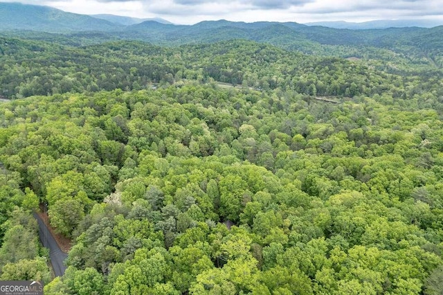 LOT17 Lower Gap Rd Unit 17, Sautee Nacoochee, GA 30571