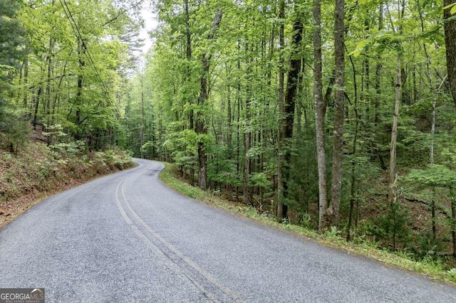 LOT17 Lower Gap Rd Unit 17, Sautee Nacoochee, GA 30571