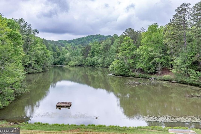 LOT17 Lower Gap Rd Unit 17, Sautee Nacoochee, GA 30571
