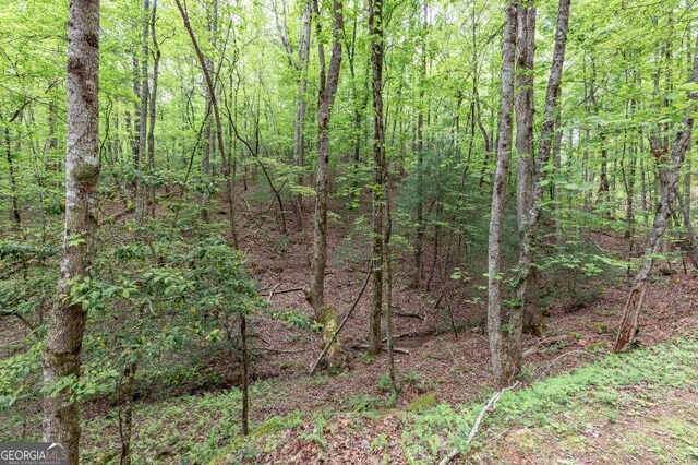 LOT17 Lower Gap Rd Unit 17, Sautee Nacoochee, GA 30571