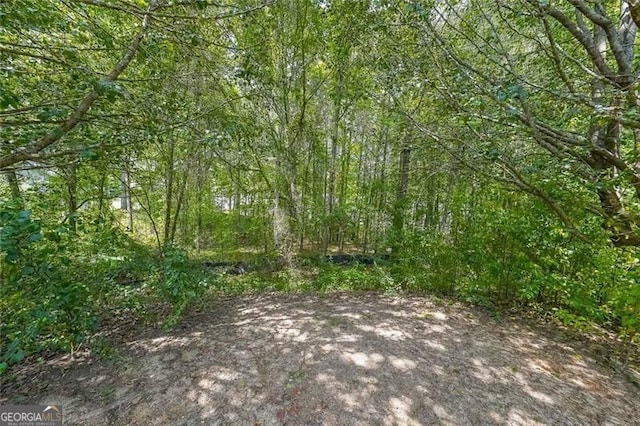 1528 Rogers Crossing Dr, Lithonia, GA 30058 - view of tree filled area