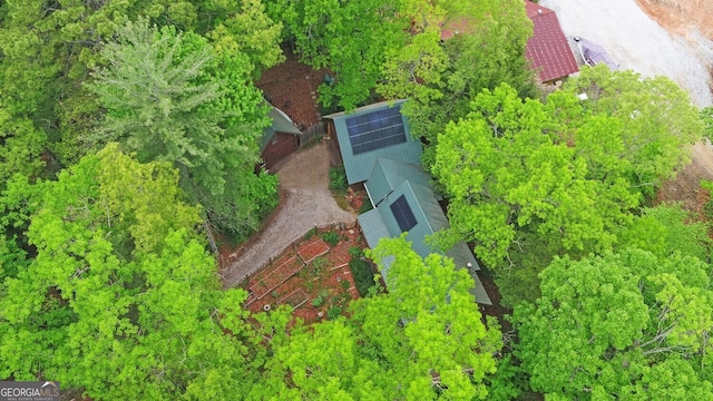 bird's eye view