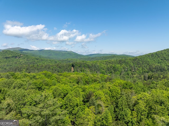 454 N Old Aska Rd, Blue Ridge, GA 30513 - view of mountain backdrop with a heavily wooded area