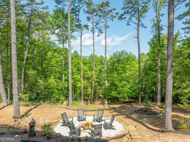 454 N Old Aska Rd, Blue Ridge, GA 30513 - view of yard featuring a fire pit and a patio area