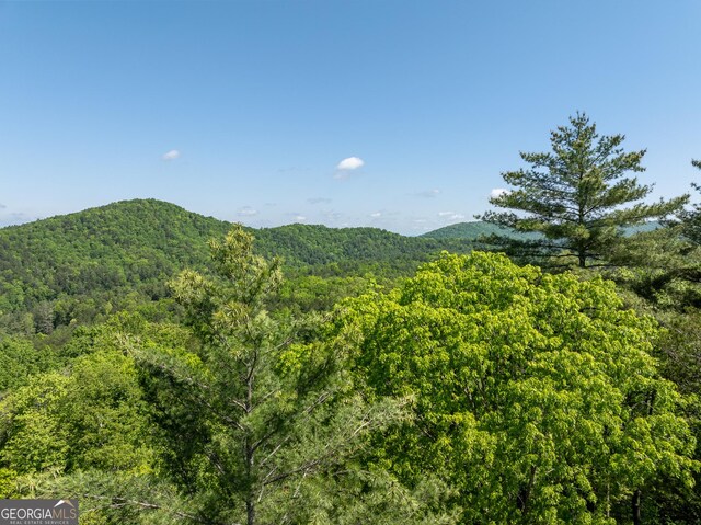 454 N Old Aska Rd, Blue Ridge, GA 30513 - view of mountain backdrop featuring a forest
