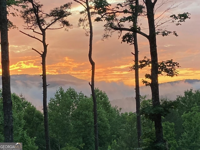 454 N Old Aska Rd, Blue Ridge, GA 30513 - mountain view