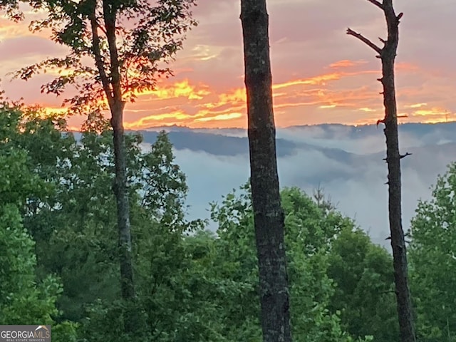 454 N Old Aska Rd, Blue Ridge, GA 30513 - view of mountain background