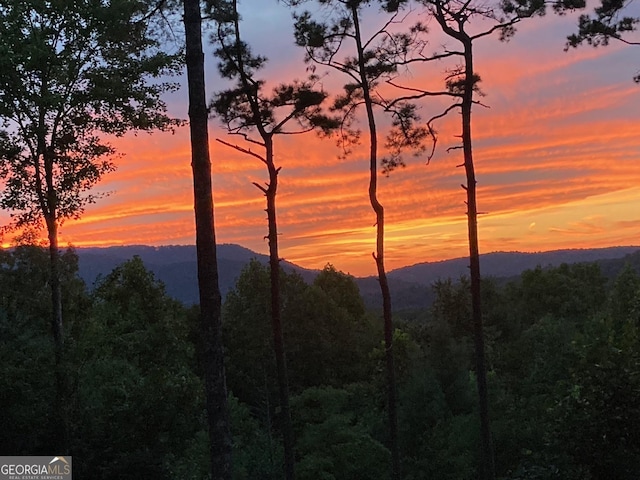 454 N Old Aska Rd, Blue Ridge, GA 30513 - view of mountain background with a forest