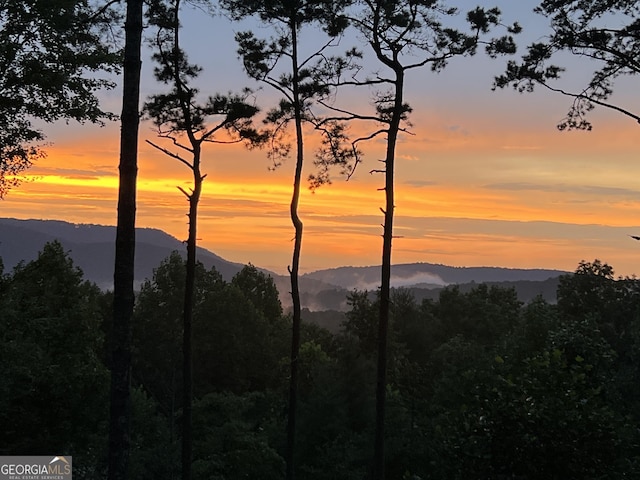 454 N Old Aska Rd, Blue Ridge, GA 30513 - view of mountain backdrop with a forest