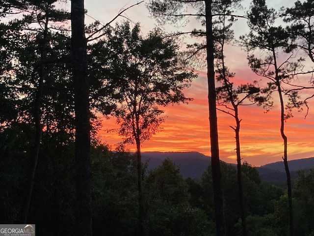 454 N Old Aska Rd, Blue Ridge, GA 30513 - view of mountain background with a forest
