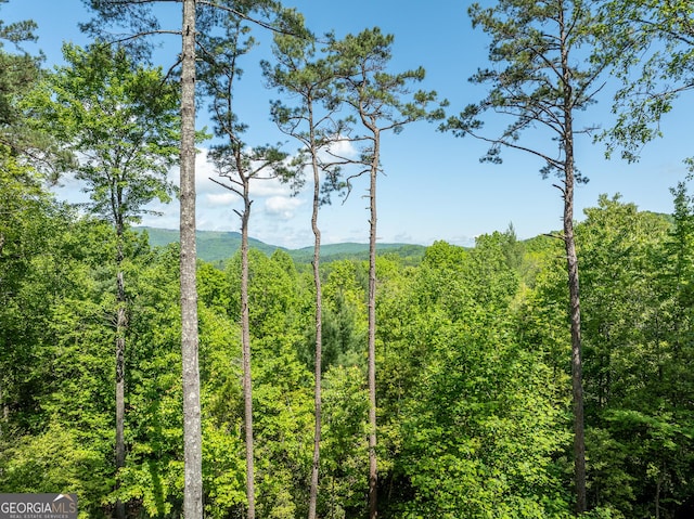 454 N Old Aska Rd, Blue Ridge, GA 30513 - view of mountain background featuring a heavily wooded area
