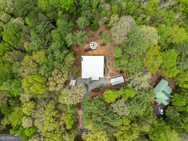 454 N Old Aska Rd, Blue Ridge, GA 30513 - drone / aerial view