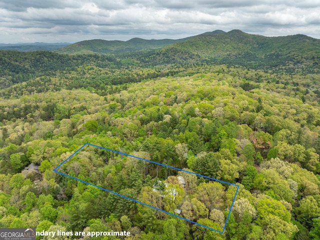454 N Old Aska Rd, Blue Ridge, GA 30513 - view of property location featuring a forest, property parcel outlined, and a mountainous background