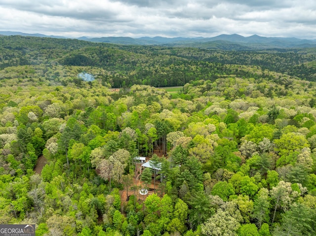 454 N Old Aska Rd, Blue Ridge, GA 30513 - bird's eye view of a forest and a mountain backdrop