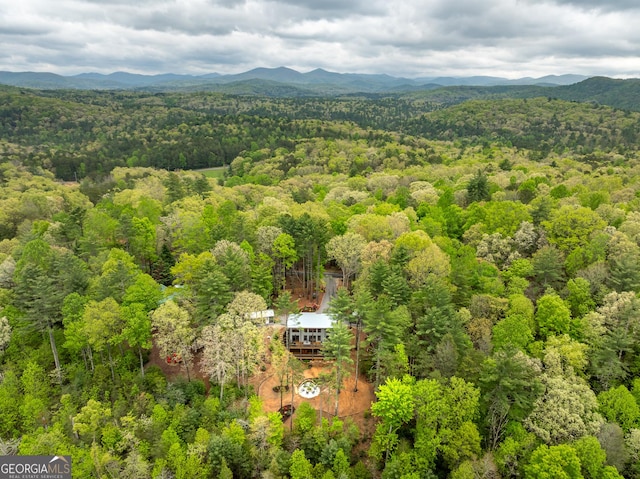454 N Old Aska Rd, Blue Ridge, GA 30513 - view of subject property with a forest and mountains