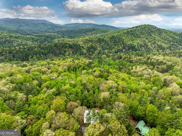 454 N Old Aska Rd, Blue Ridge, GA 30513 - view of mountain background featuring a heavily wooded area