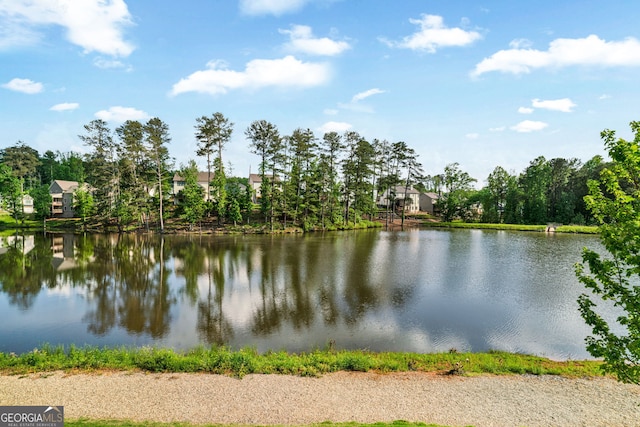 2201 Old Dallas Rd SW, Marietta, GA 30064 - view of water feature