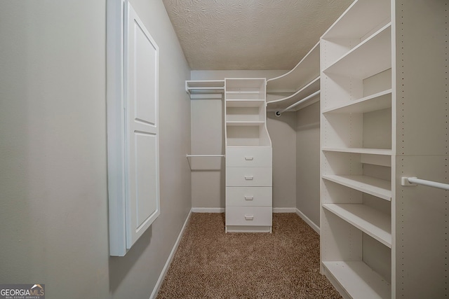 228 Amour Way SW, Lilburn, GA 30047 - walk in closet featuring carpet floors