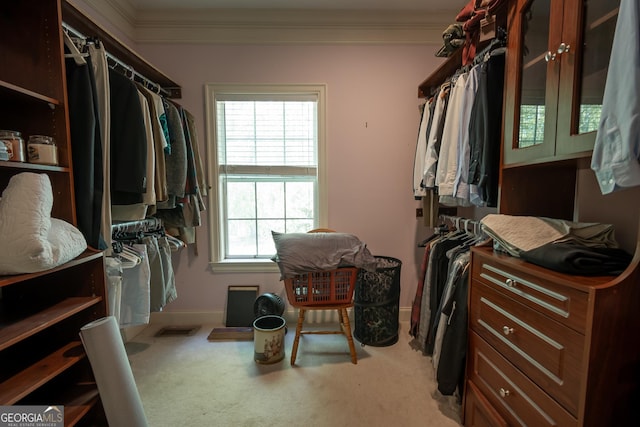 229 Deer Haven Run, Carlton, GA 30627 - walk in closet featuring visible vents and carpet floors