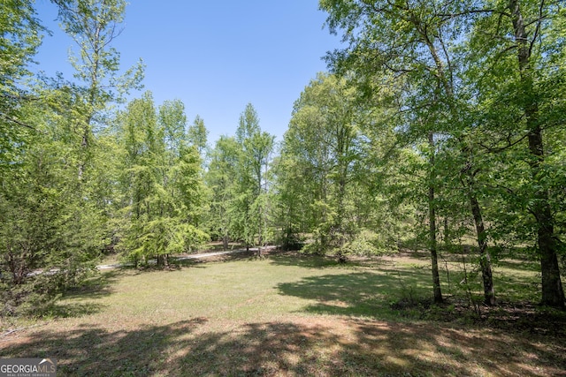 229 Deer Haven Run, Carlton, GA 30627 - view of yard with a forest view