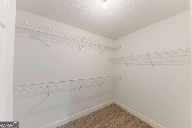 spacious closet featuring carpet flooring