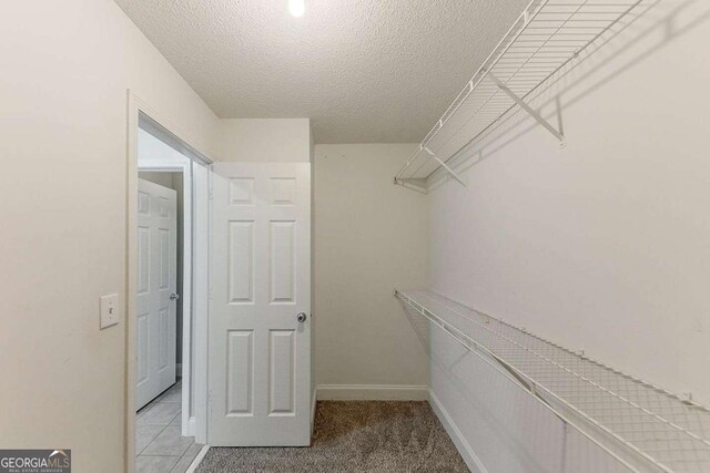 walk in closet featuring light carpet
