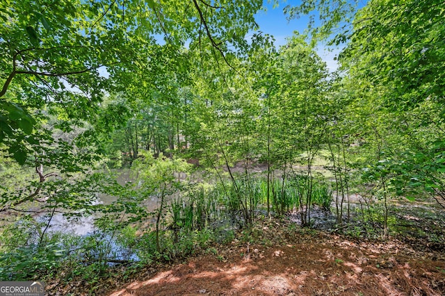 view of local wilderness