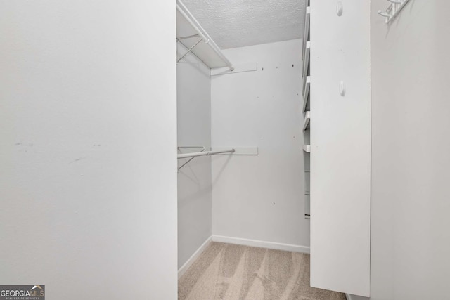 spacious closet featuring carpet flooring